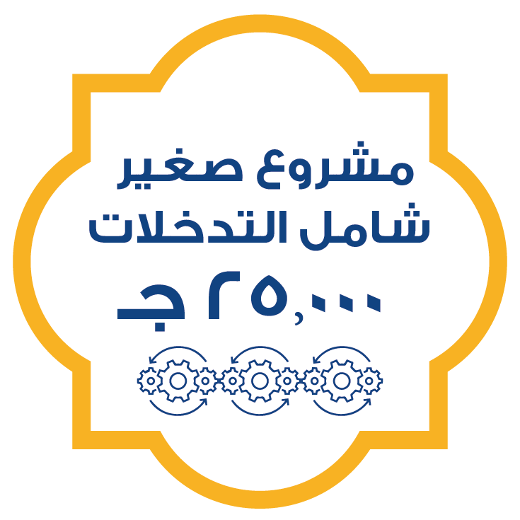 مشروع صغير شامل التدخلات