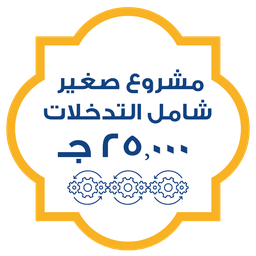 مشروع صغير شامل التدخلات